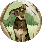 Seuo profile image